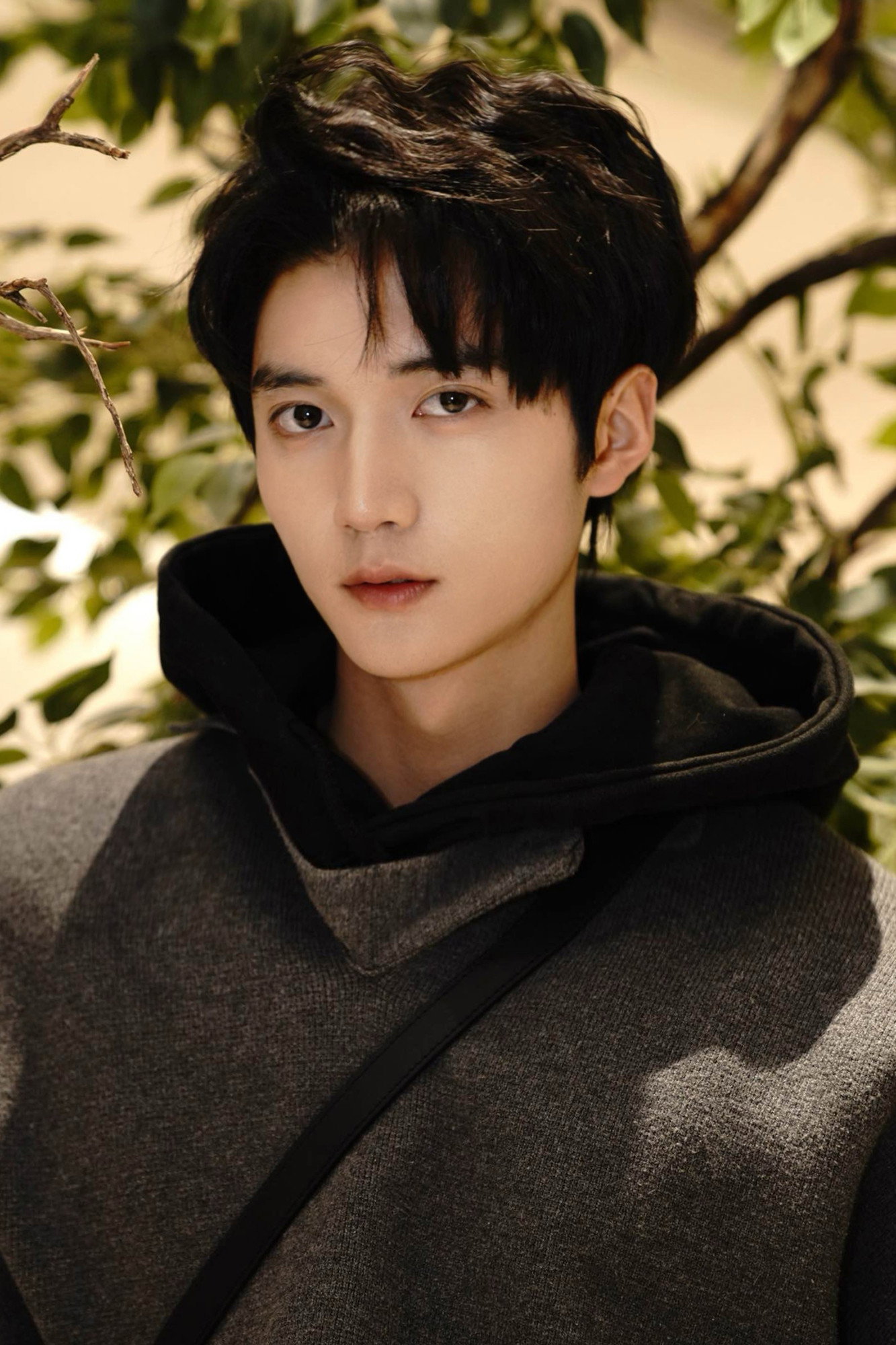 Wang Peiyan