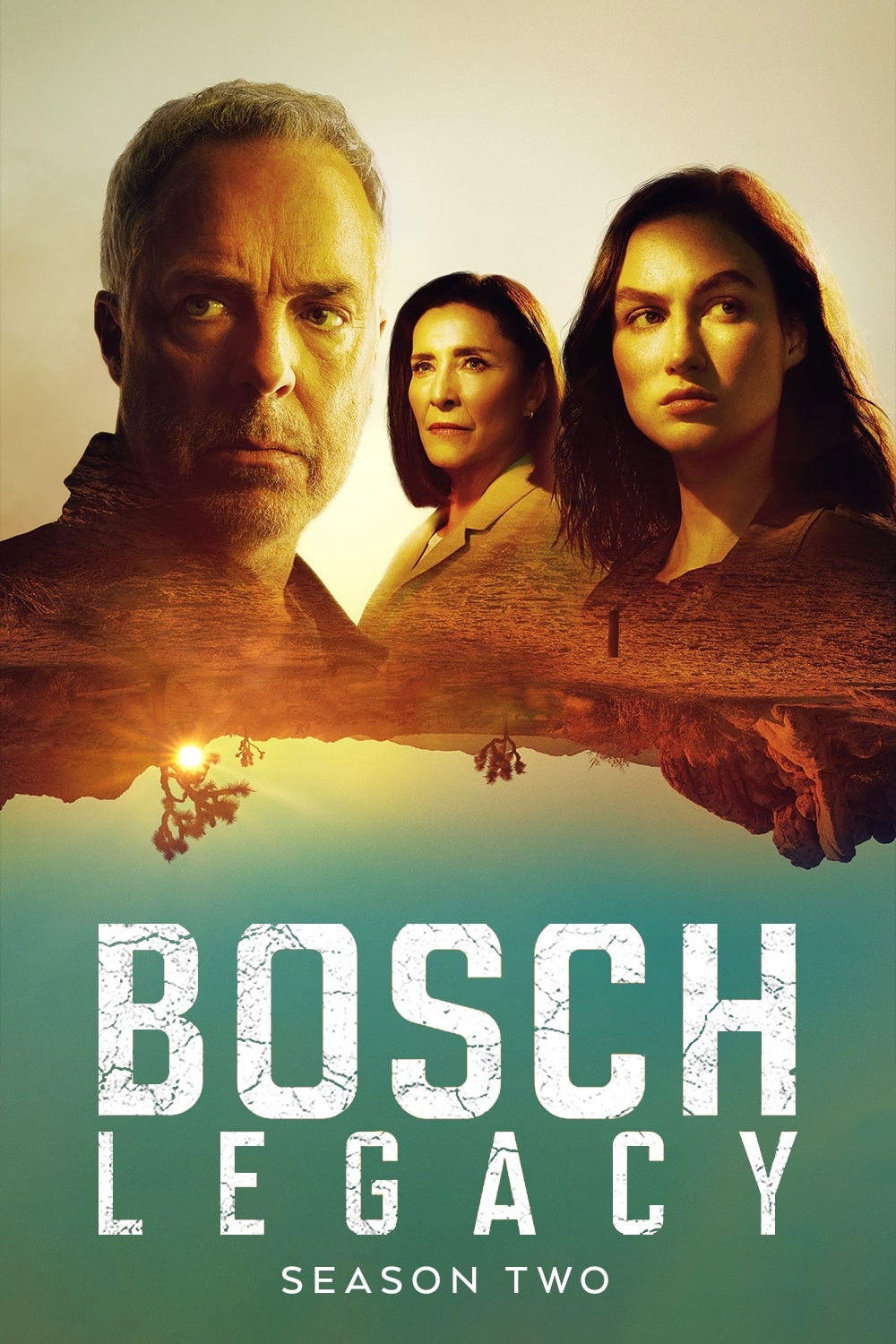 Bosch: Legacy