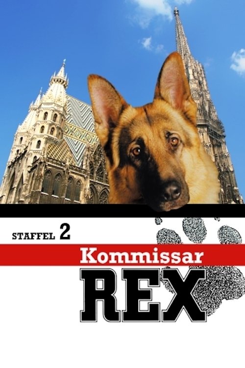 Rex, un policía diferente