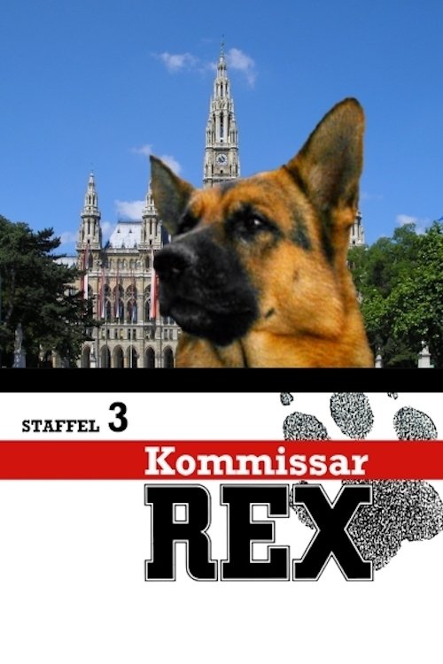 Rex, un policía diferente
