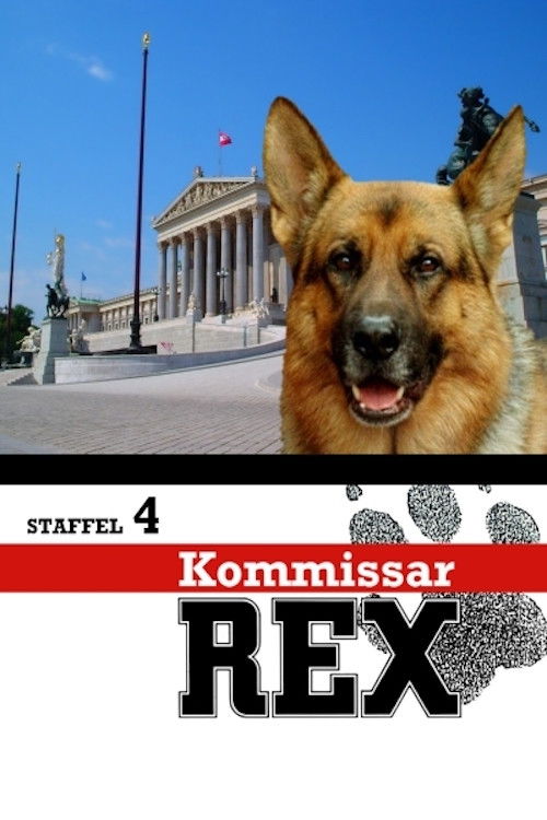 Rex, un policía diferente