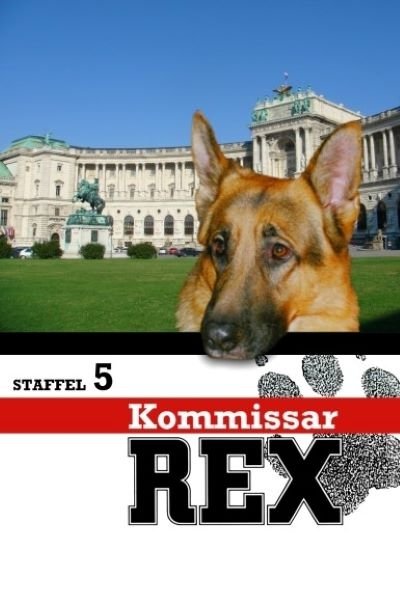 Rex, un policía diferente