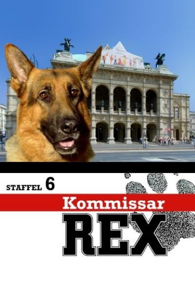 Rex, un policía diferente