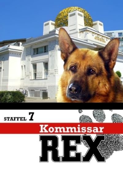 Rex, un policía diferente