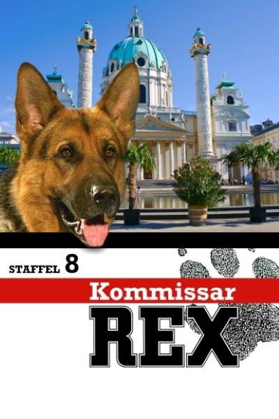 Rex, un policía diferente