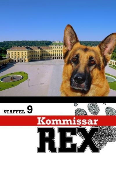 Rex, un policía diferente