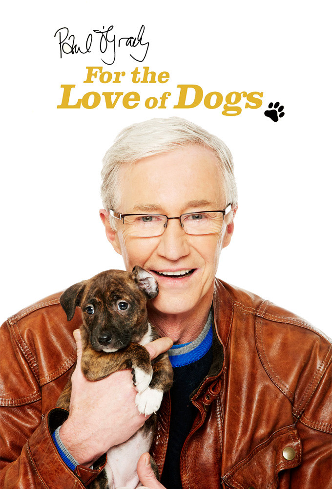 For the Love of Dogs