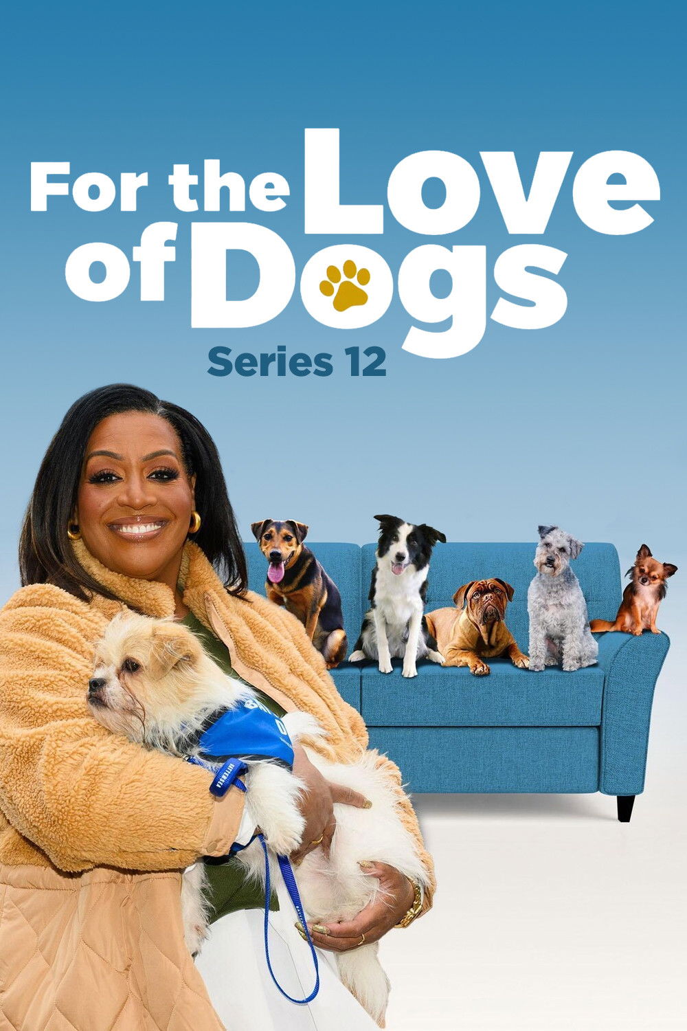 For the Love of Dogs