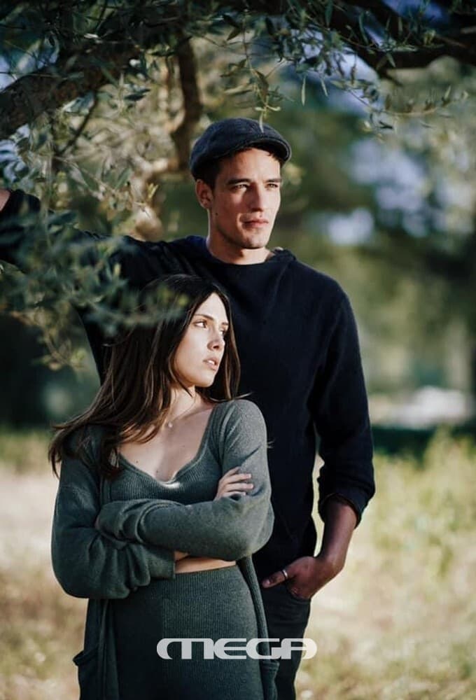 Η Γη Της Ελιάς