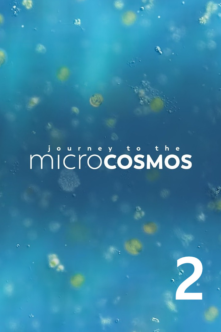Journey to the Microcosmos