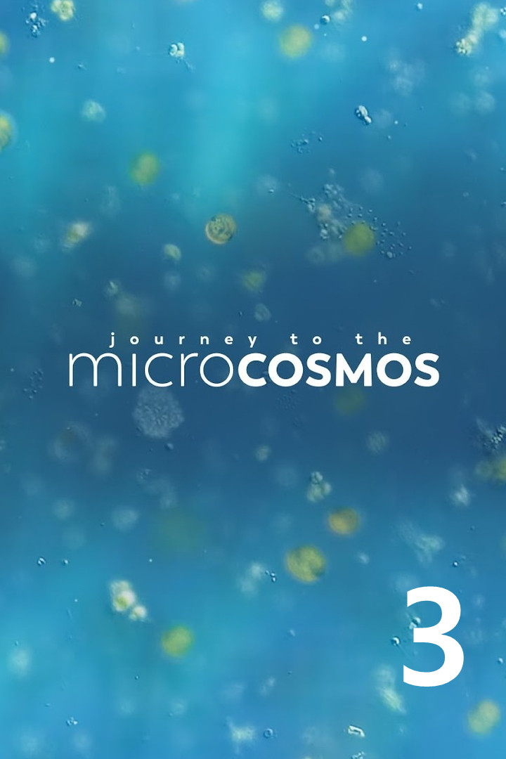 Journey to the Microcosmos