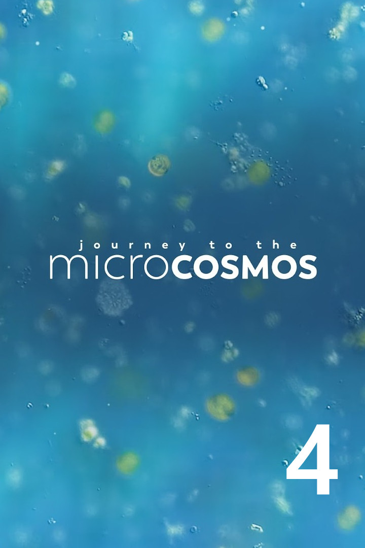 Journey to the Microcosmos