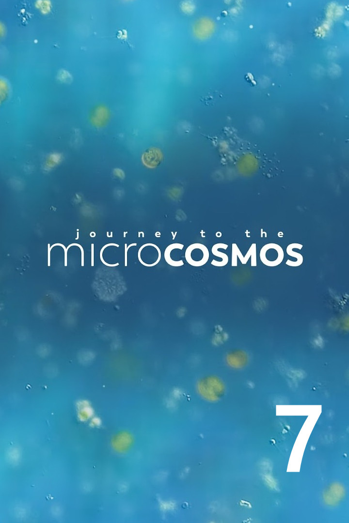 Journey to the Microcosmos