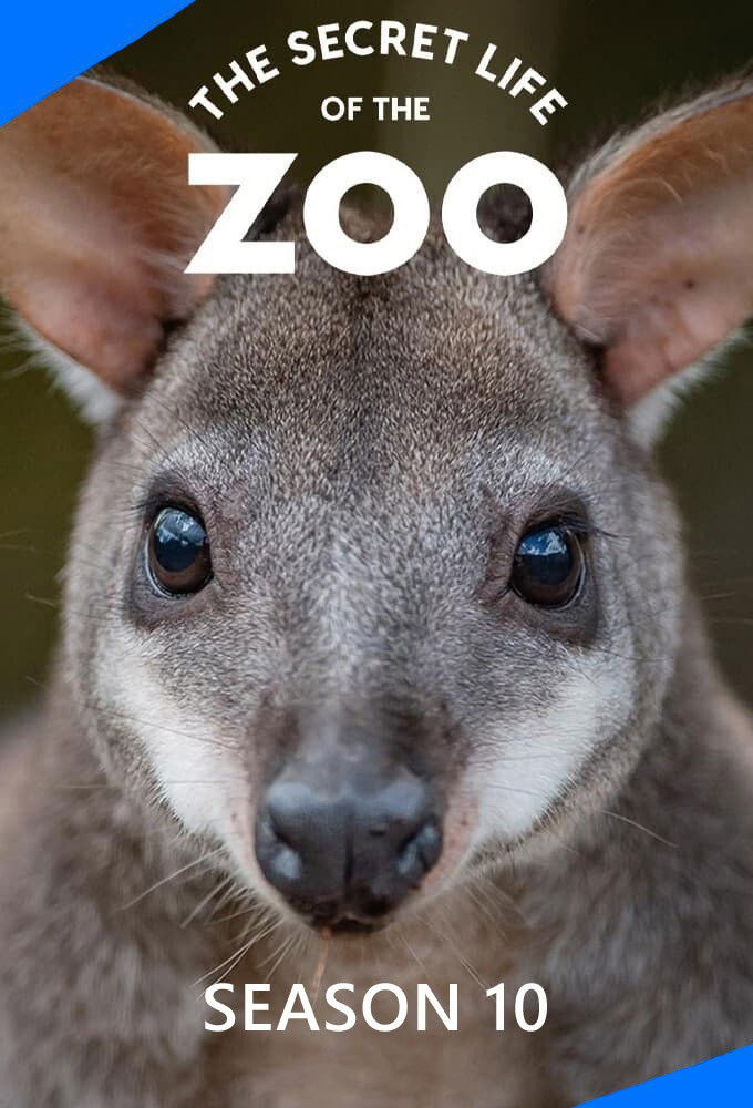 La vida secreta del Zoo