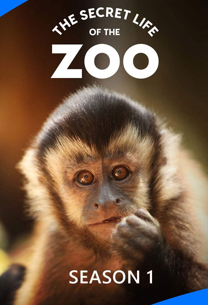 La vida secreta del Zoo