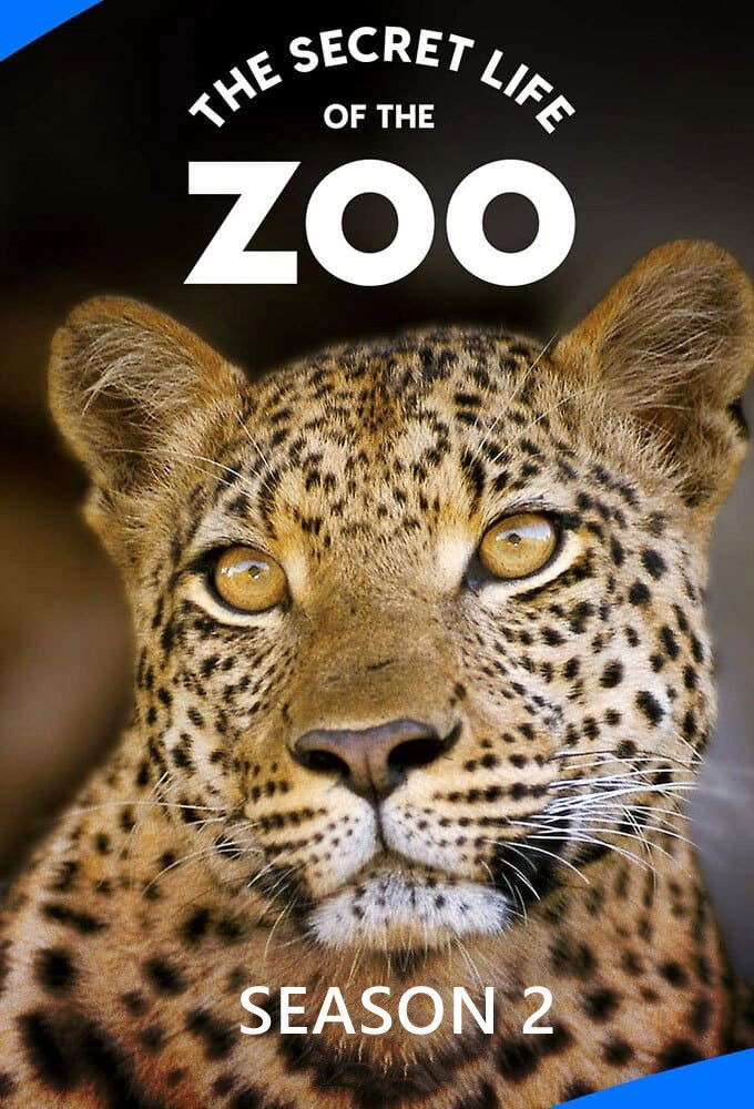 La vida secreta del Zoo
