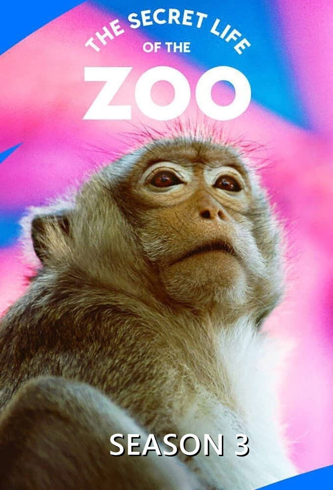 La vida secreta del Zoo