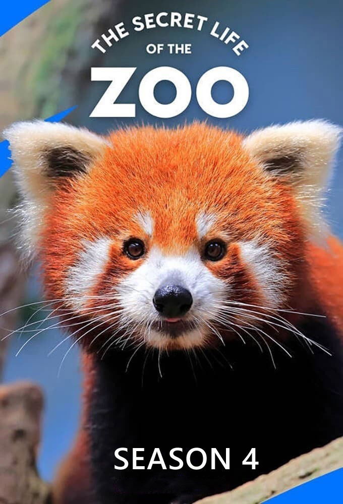 La vida secreta del Zoo