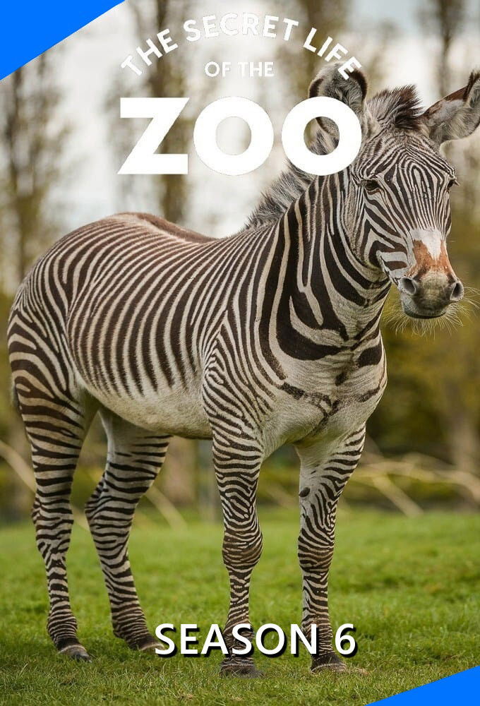 La vida secreta del Zoo