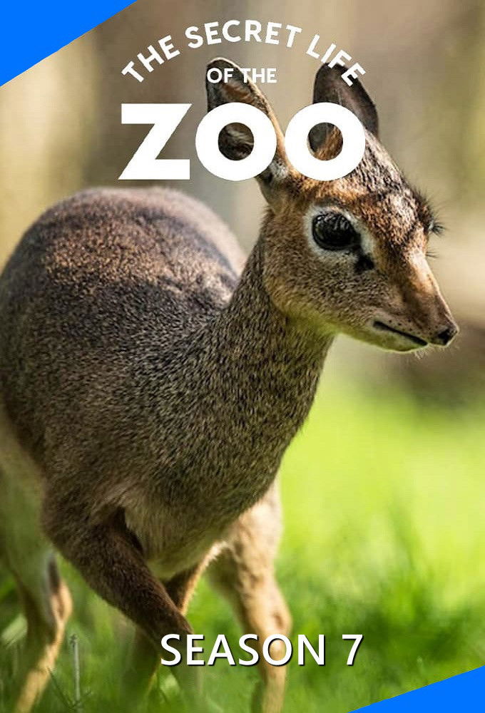 La vida secreta del Zoo