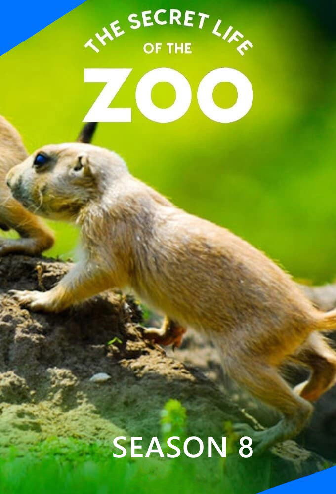 La vida secreta del Zoo