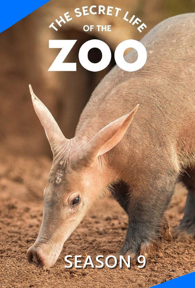 La vida secreta del Zoo