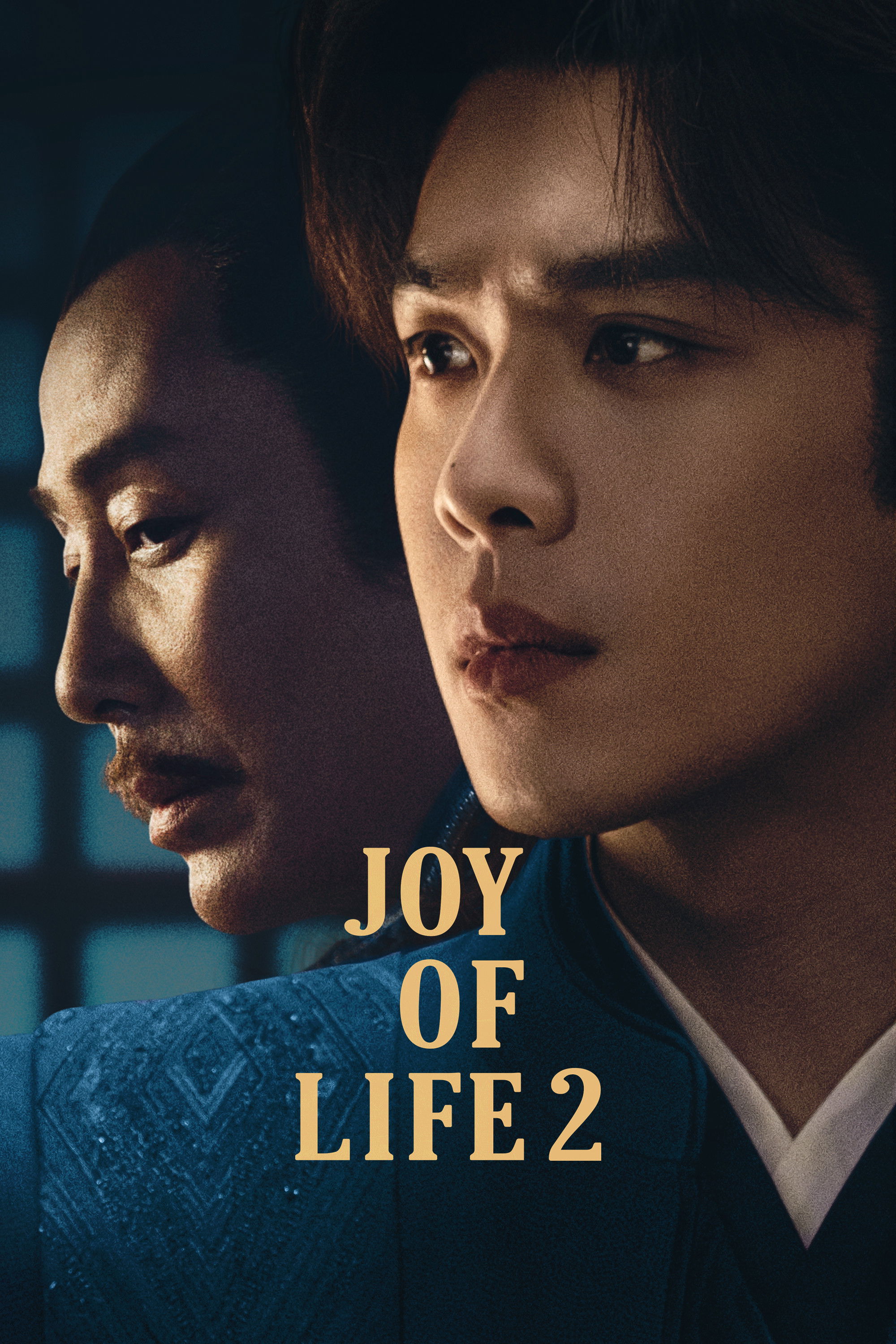 Joy Of Life
