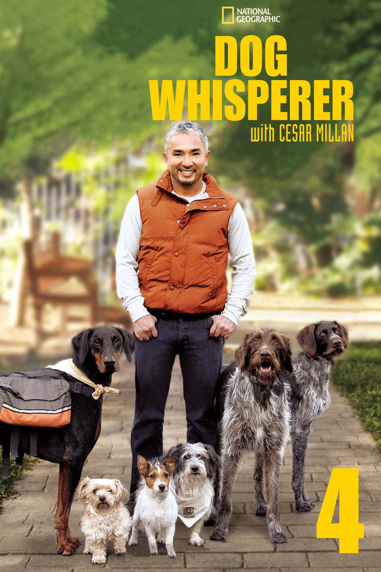 El Encantador de Perros