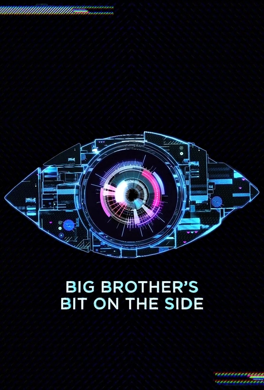 Celebrity Big Brother's Bit on the Side