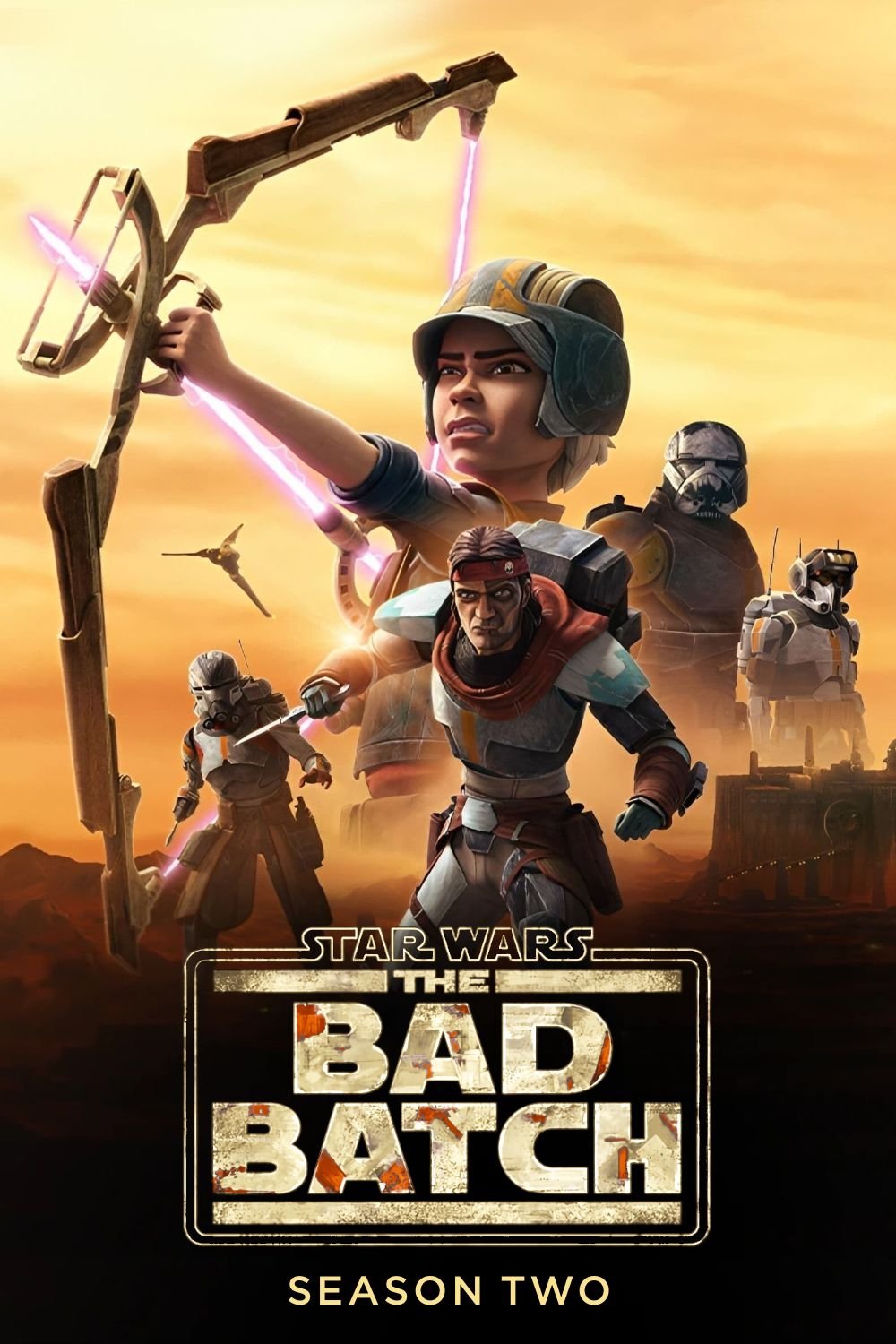 Star Wars: La remesa mala