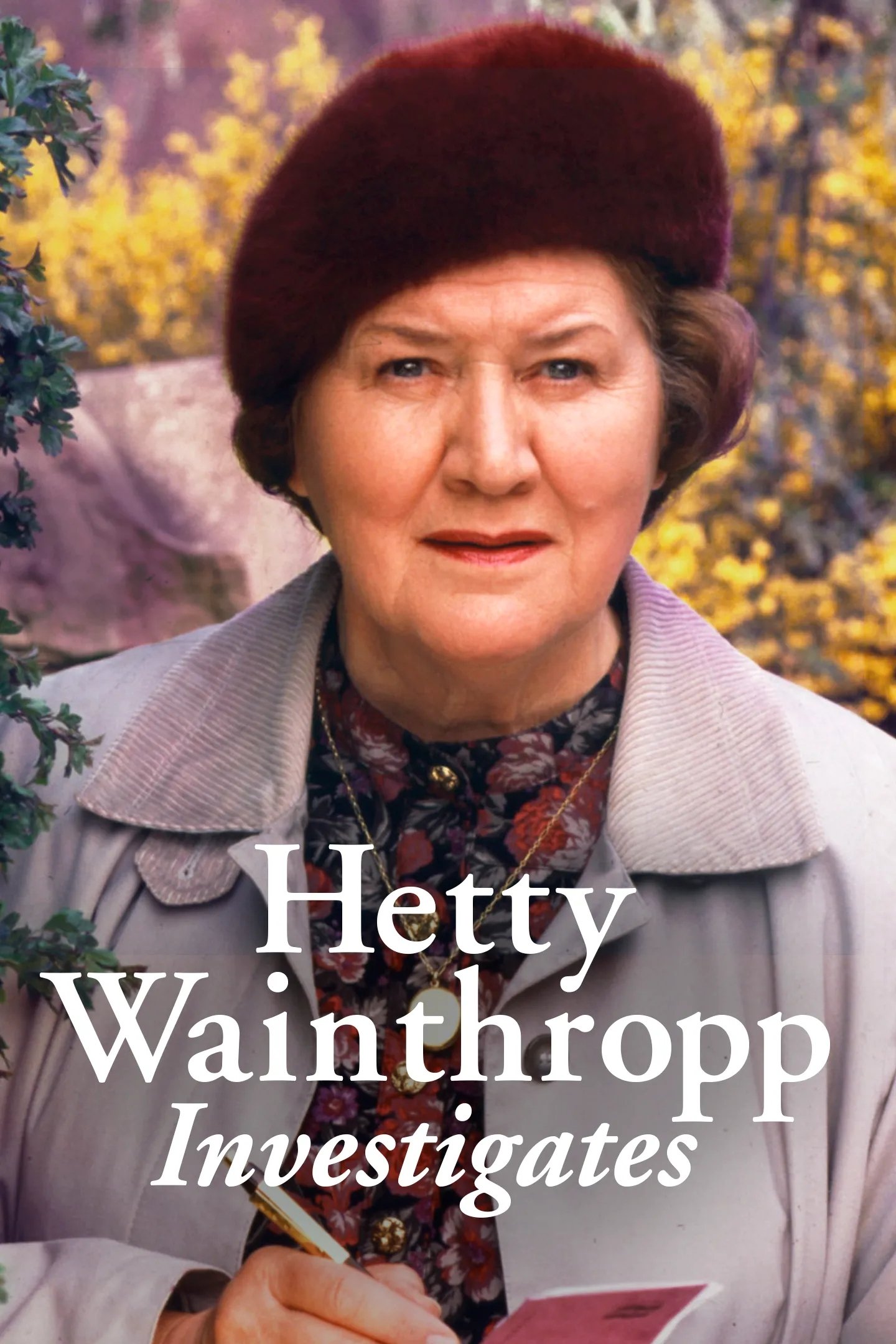 Hetty Wainthropp Investigates