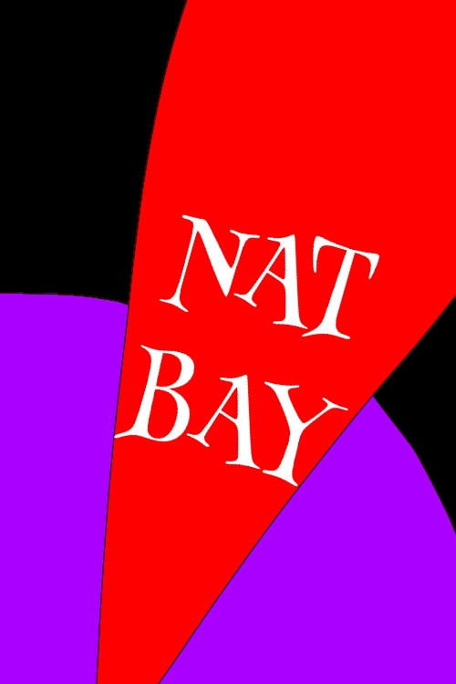 Nat Bay (Monsters and Detectives)