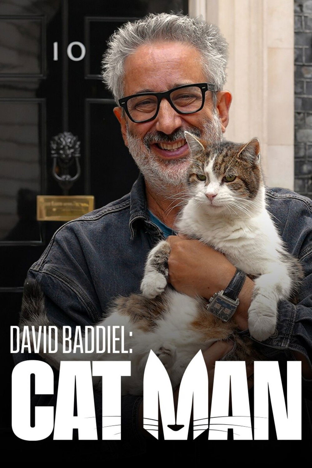 David Baddiel: Cat Man