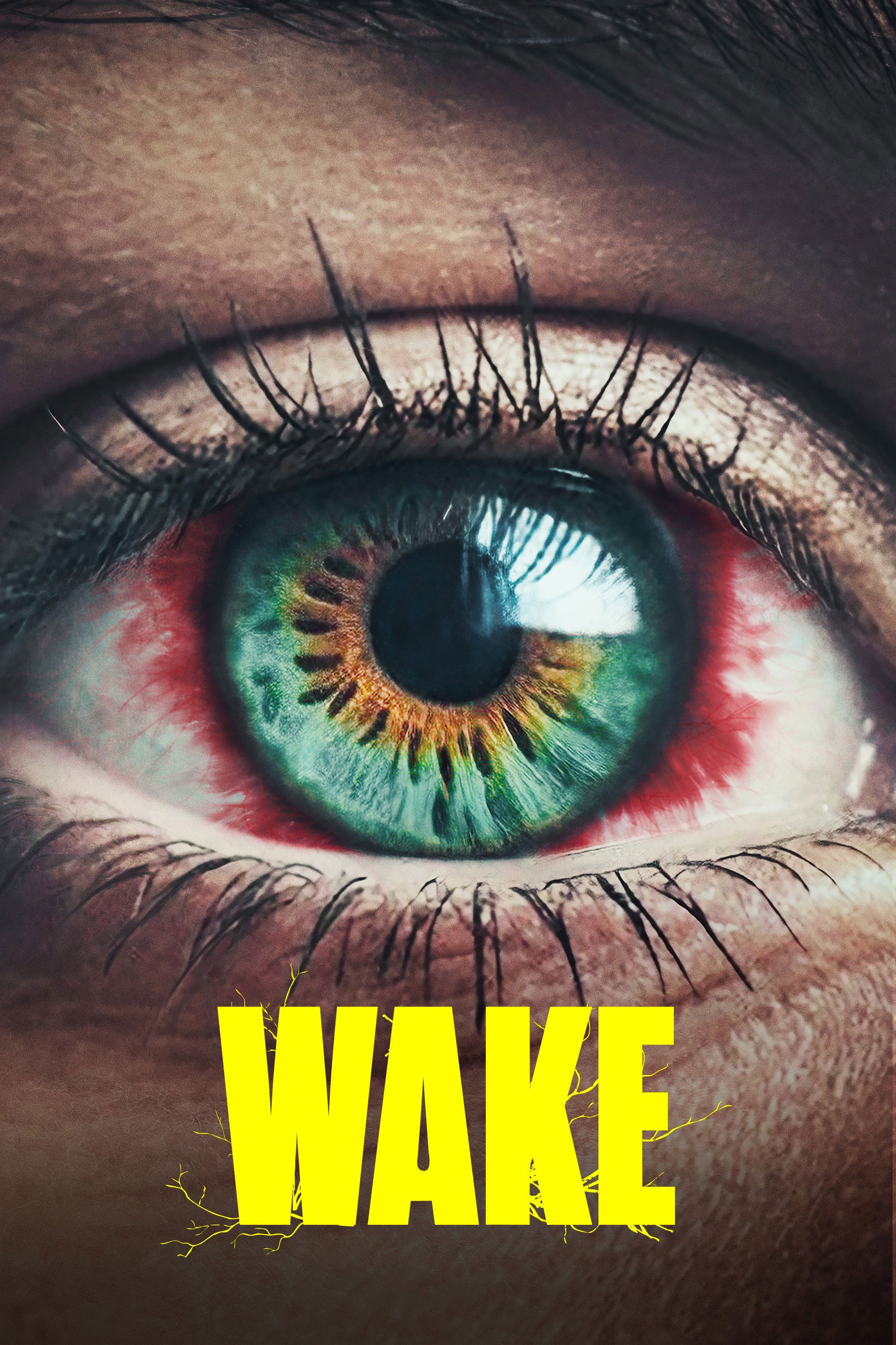 Wake