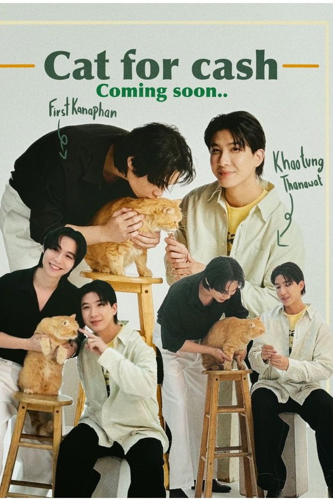 เปย์รักด้วยแมวเลี้ยง