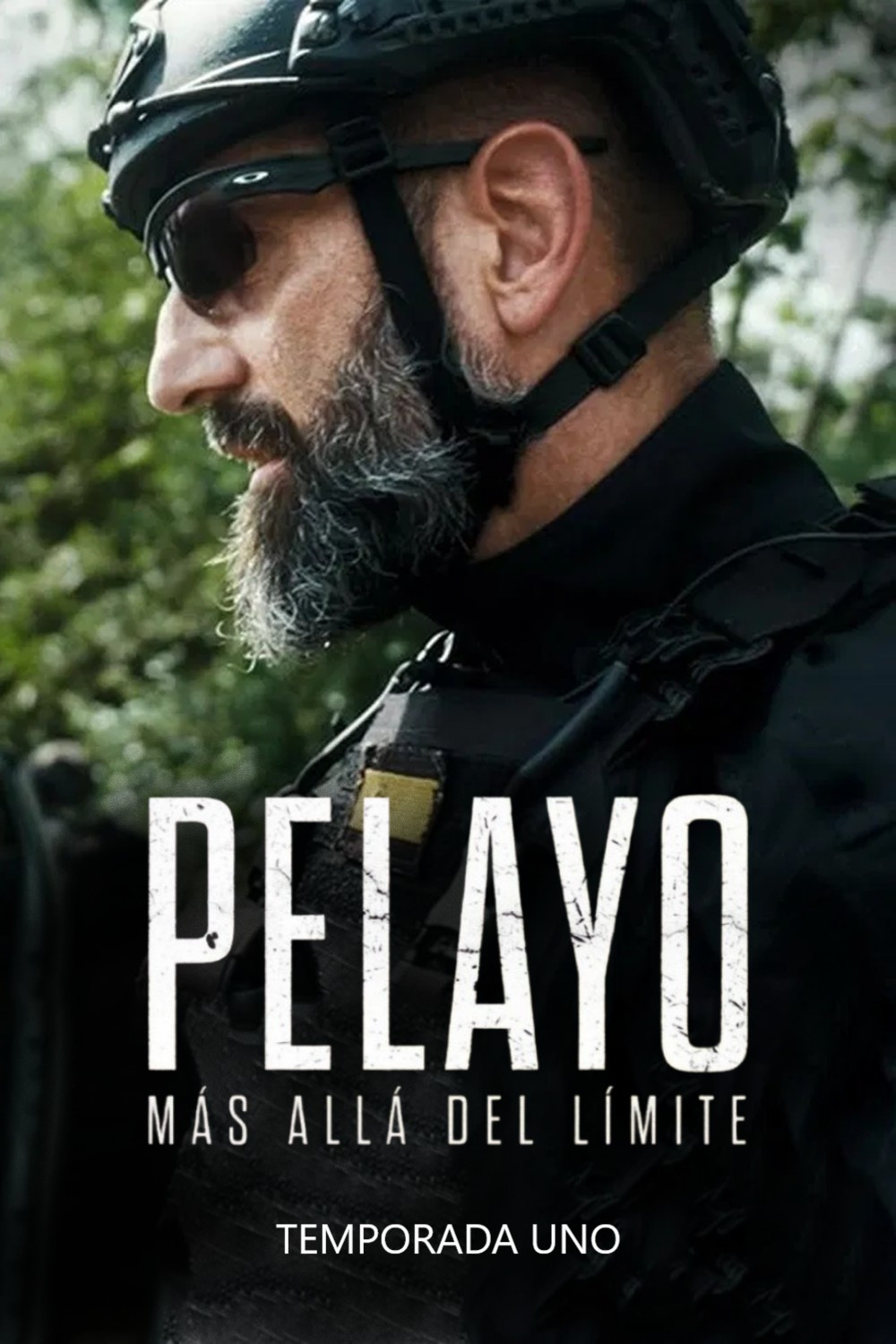 Pelayo: Más allá del límite