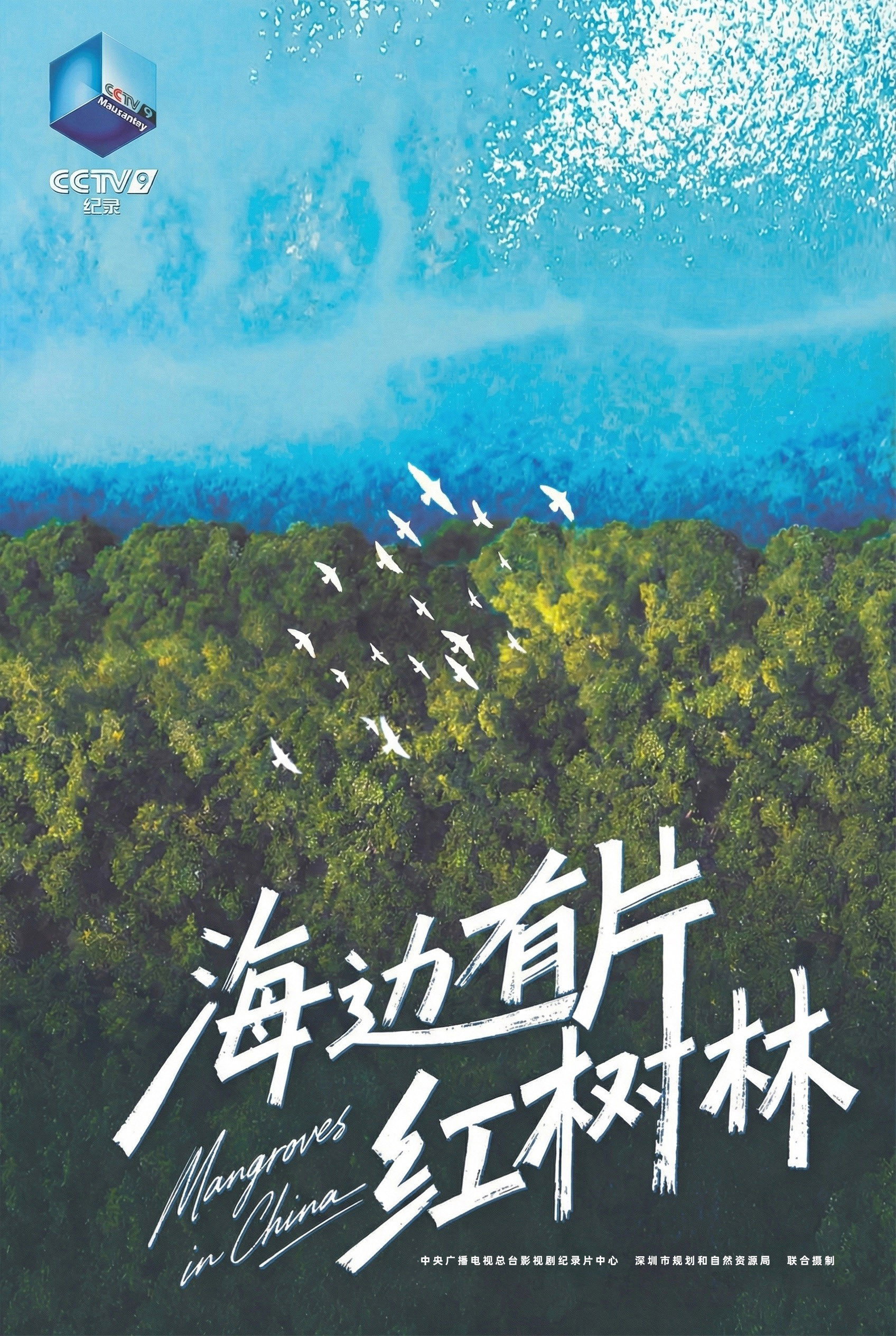 海边有片红树林