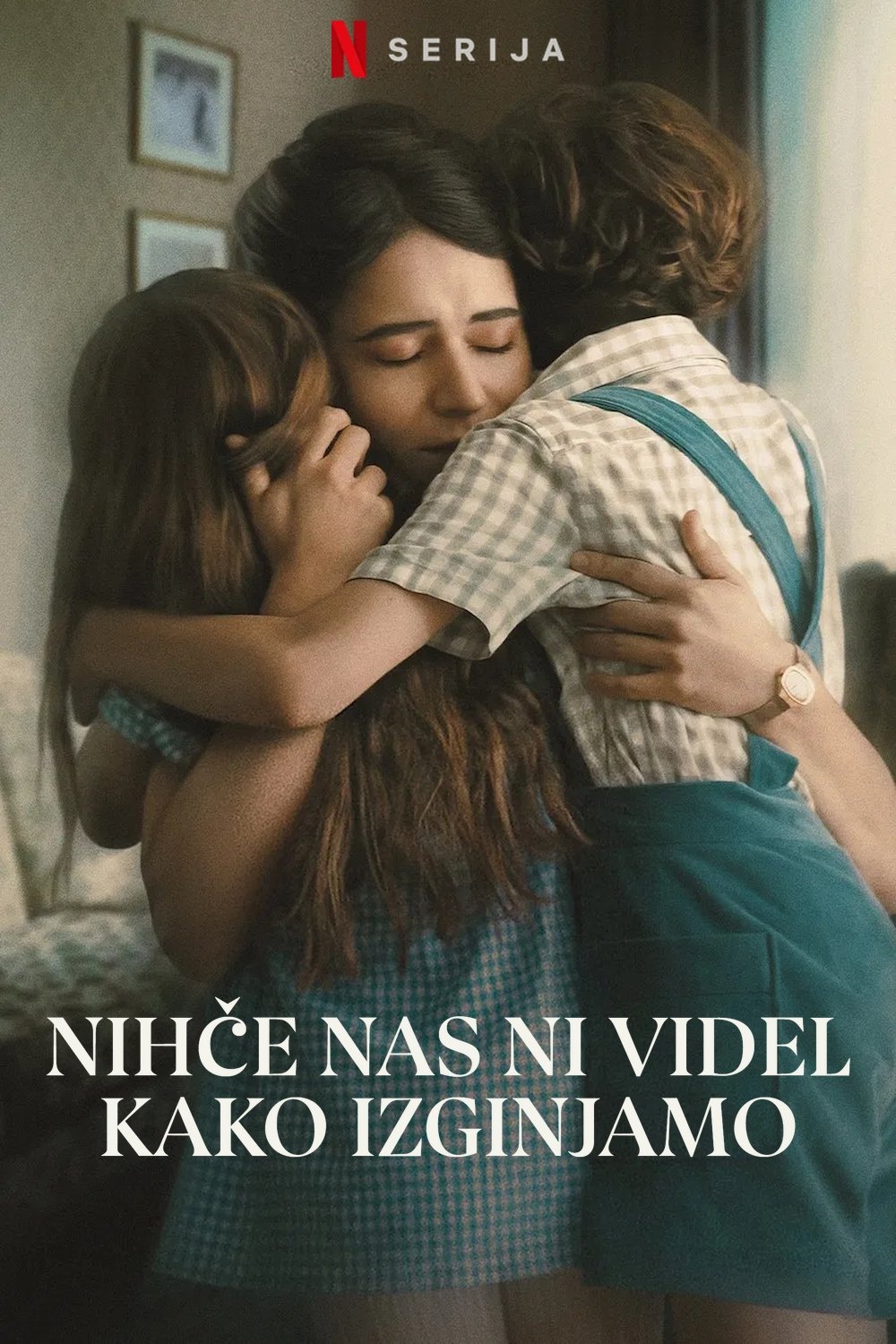 Nadie nos vio partir