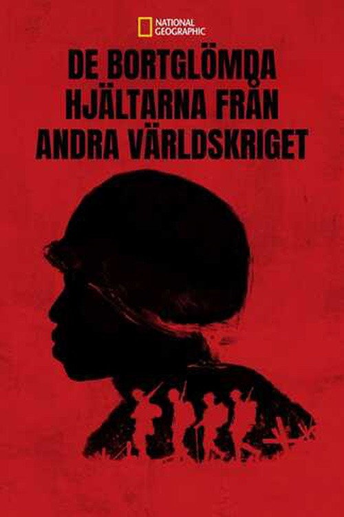 Erased: World War 2's Heroes of Color