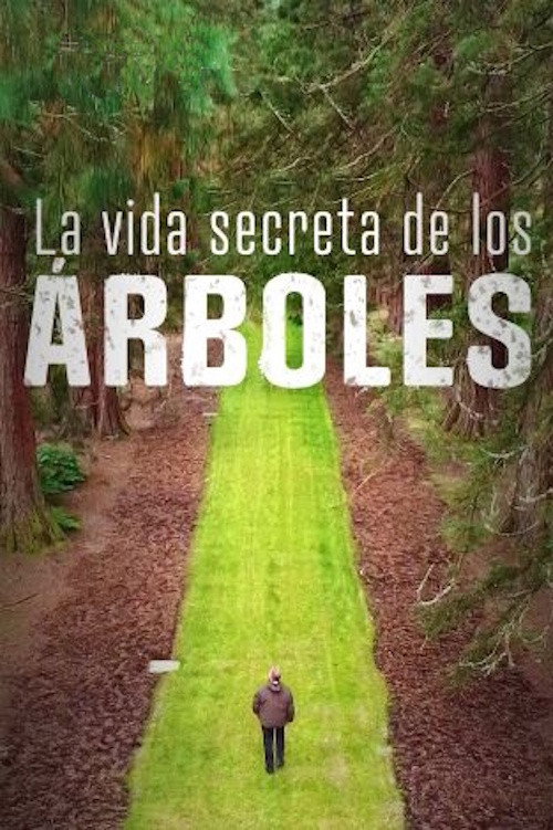 Entrevista/aparición