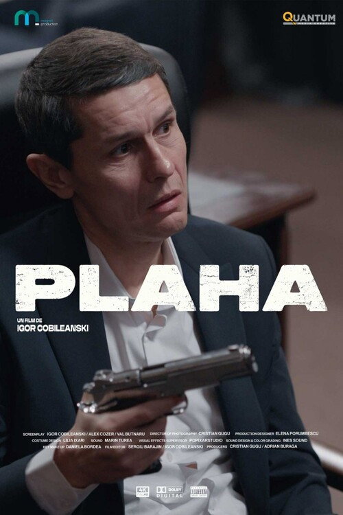 Plaha