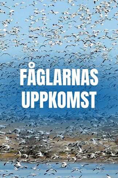 The Rise of the Birds