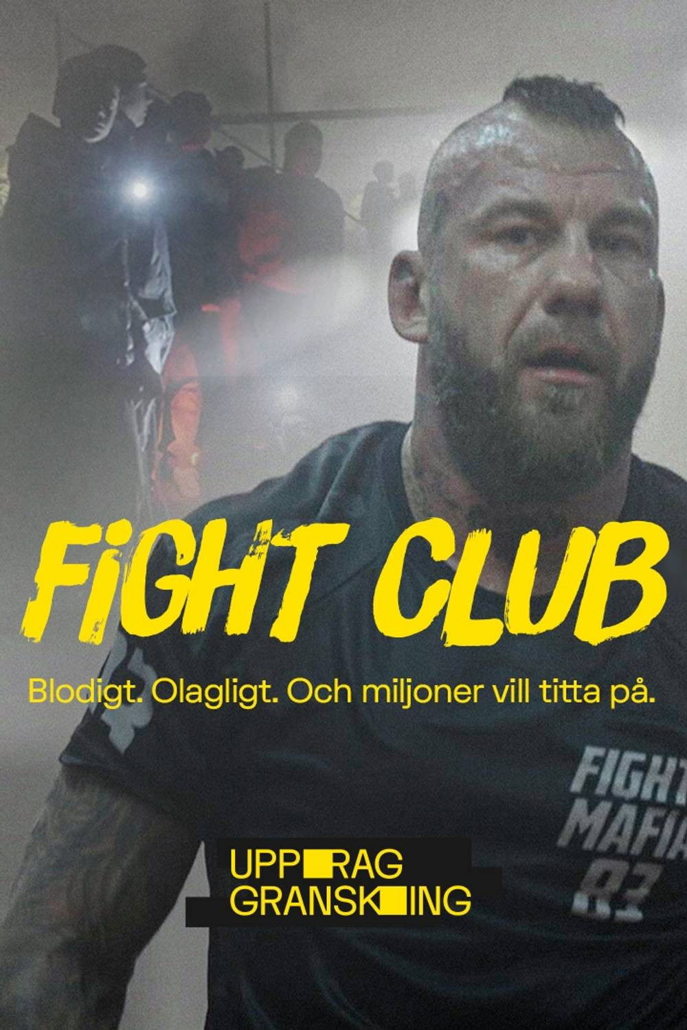 Uppdrag granskning: Fight club