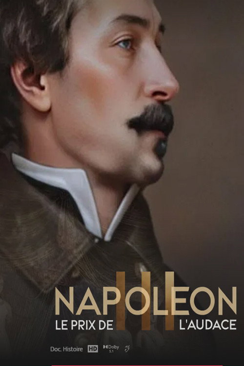 Napoléon III, le prix de l'audace