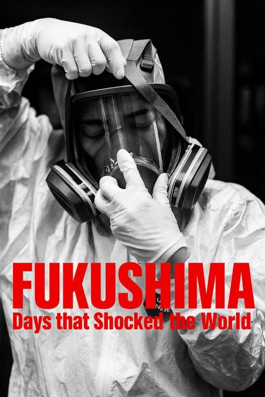 Fukushima: días que conmocionaron al mundo