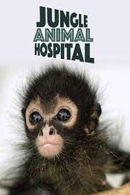 Jungle Animal Hospital