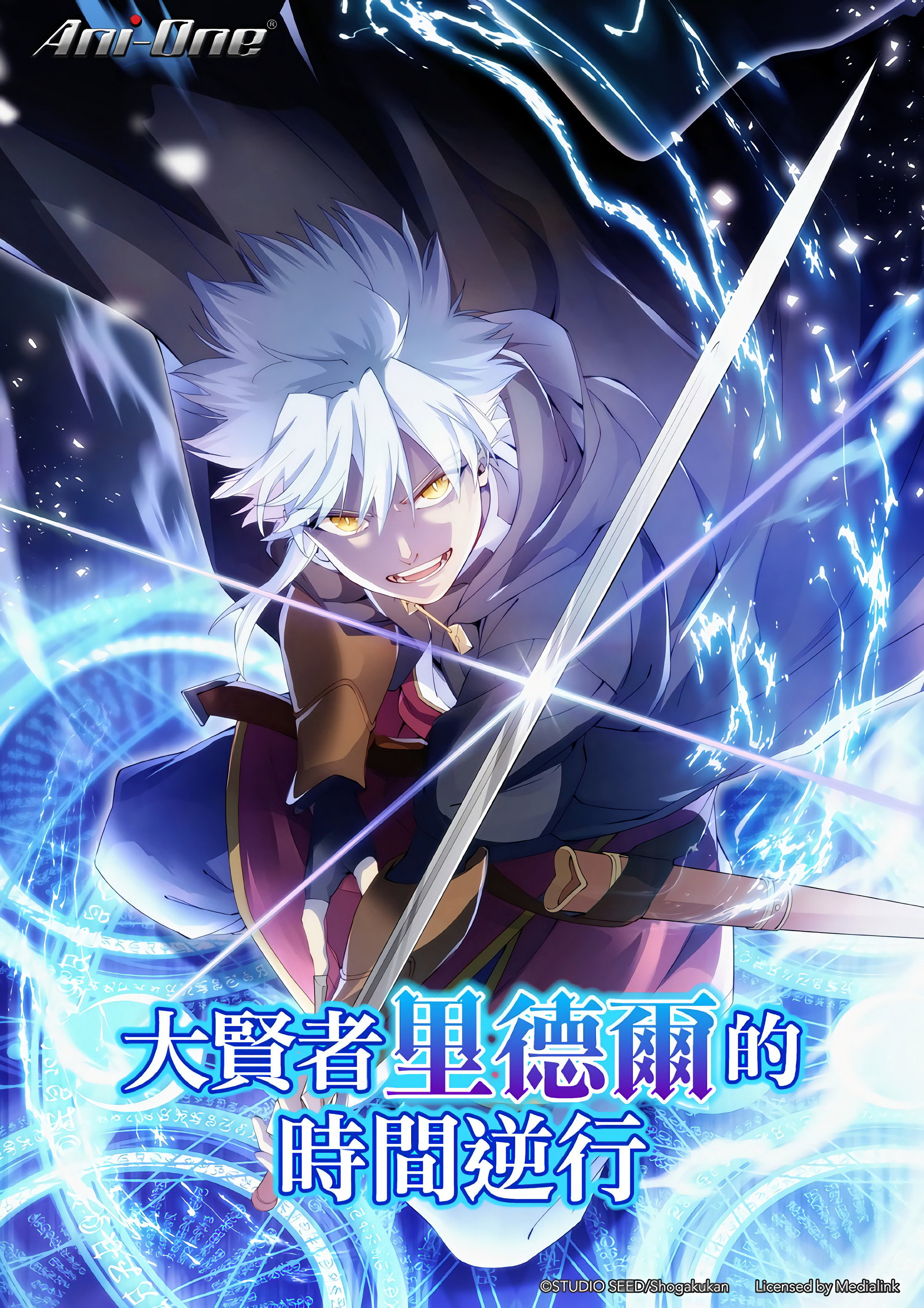 大賢者リドルの時間逆行