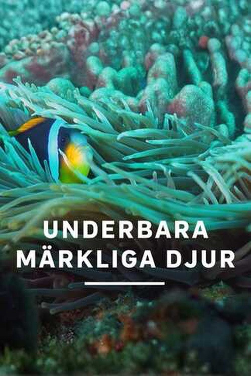 Underbara märkliga djur