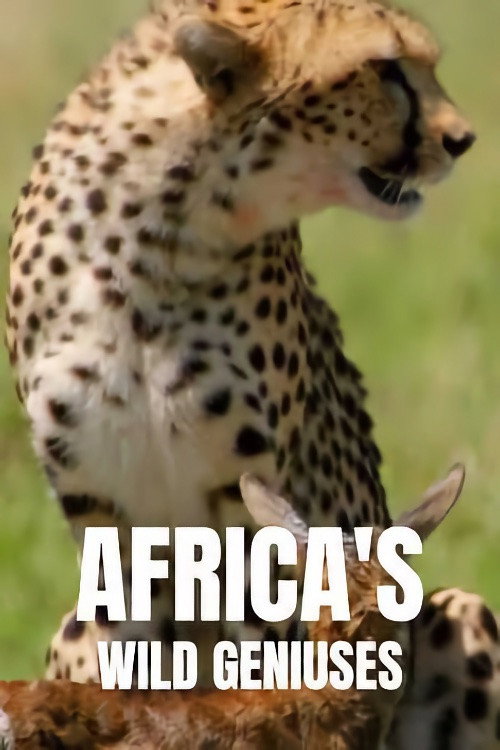 Africa's Wild Geniuses