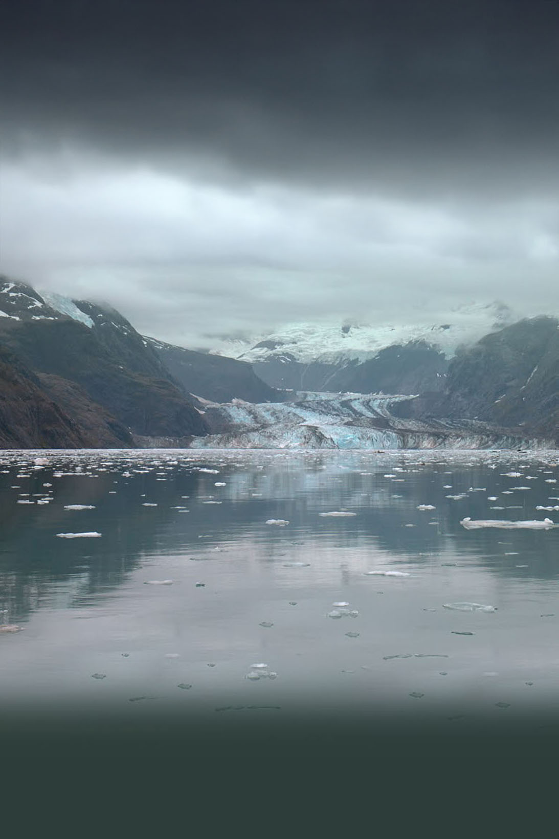 Alaskan Shorts